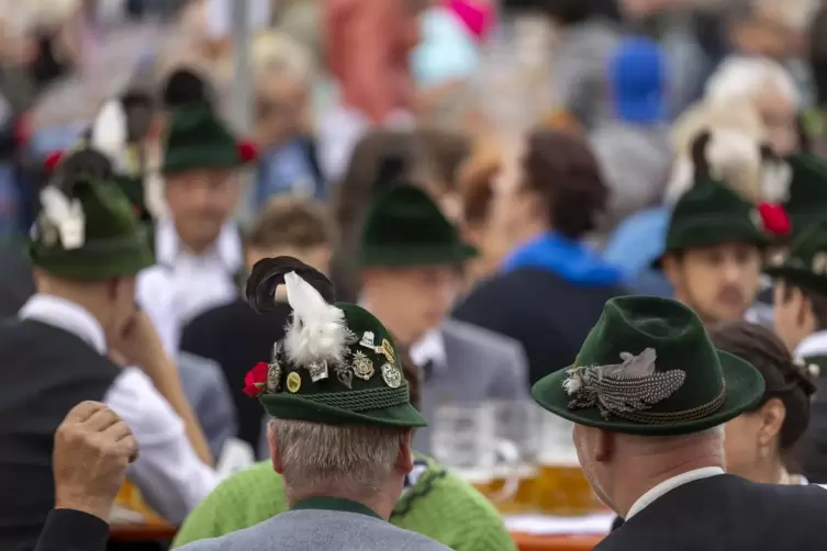 Das bayrisch-pf&auml;lzische Bierfest findet alle zwei Jahre in Dirmstein statt. 