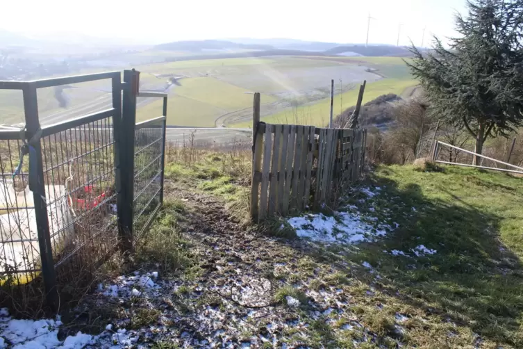 Auch einige Tage nach dem Gerichtsurteil stehen die Tore am Gnadenhof f&uuml;r die Tiere weiterhin offen.