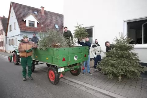 Samstag-Aktion: Jugendliche der KjG sammeln Tannenbäume im Speyerer Umland. 
