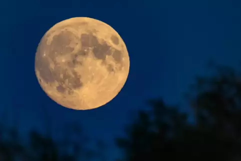 Während der Nachtwanderung sollen Taschenlampen nur im Notfall benutzt werden. Die einzige Lichtquelle soll der Mond sein.