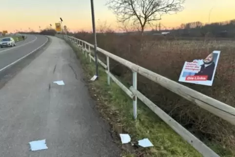Ein Mann habe mit einem Pick-up-Truck am Straßenrand angehalten, das Parteimitglied beschimpft und das Plakat beschädigt. 