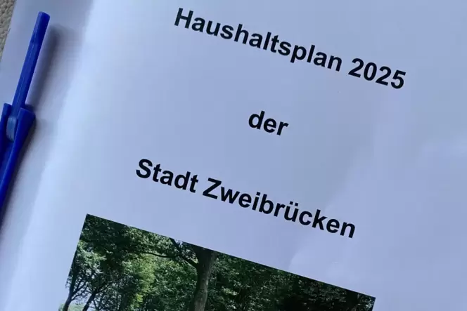 Wird ganz sicher noch für Diskussionen sorgen – zumindest mit der Kommunalaufsicht des Landes Rheinland-Pfalz: der am Mittwoch v