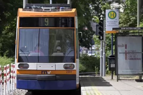 Eine Straßenbahn der Linie 9 an der Haltestelle Zum Guten Hirten, die an der Mannheimer Straße liegt.