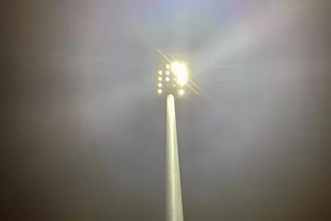 Werden ausgetauscht: Defekte LED-Lampen in Waldsee. 