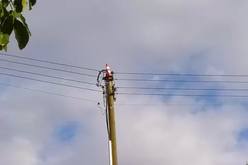 Der Strommast heute mit Pylon. Eine Plattform kommt laut Pfalzwerken nicht infrage.
