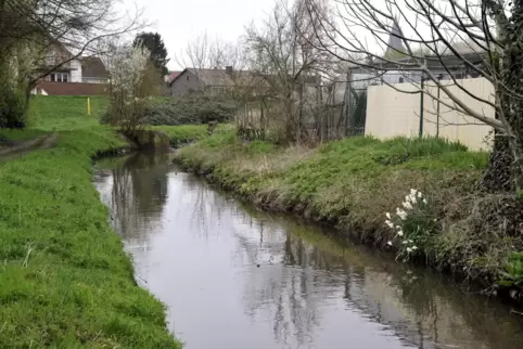 Der Eckbach im Osten des Ortsteils Bobenheim. In Richtung Rhein wird er so umgebaut, dass er besser mit Hochwasser zurechtkommt.