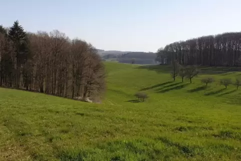 Die Sonne findet in dieser Woche wohl nur selten ihren Weg zu uns. Dennoch ist es ziemlich mild. 
