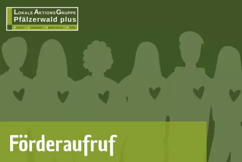Förderaufruf 