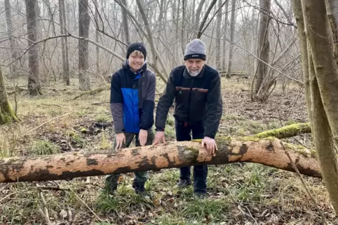 Im Angelwald vor einer umgestürzten, vom Eschenbastkäfer befallenen Esche: Förster Georg Spang (rechts) und Praktikant Leon Mand