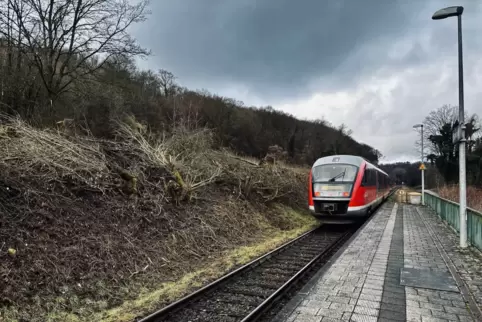 Dient der Sicherheit: der Kahlschlag entlang der Bahntrasse in Contwig. Das Foto zeigt den Abschnitt am Stambacher Bahnhof. 