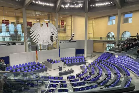 Am 23. Februar entscheidet sich, wer die Südwestpfalz künftig im Bundestag vertritt.