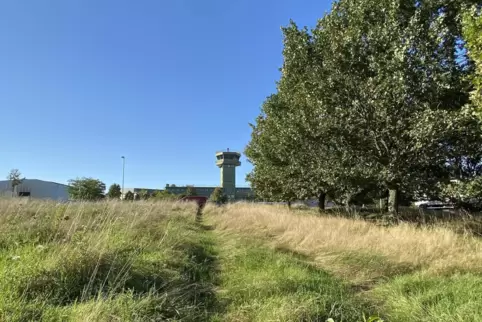 Der Gewerbepark Sembach: Rund 30 Hektar des mit Gras, Büschen und Bäumen bewachsenen Areals will die BImA entwickeln. Das Geländ