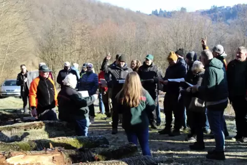 Immer wieder überbieten sich Holzfreunde. Der Preis steigt in Zehn-Euro-Schritten. 