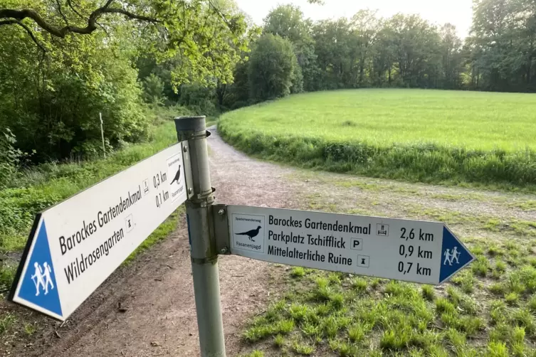 Der Bikepark in der Zweibr&uuml;cker Fasanerie soll oberhalb des Wildrosengartens entstehen.