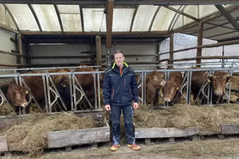 Luca Leppla hat in Gundersweiler eine kleine Fleischrindherde mit 30 Limousin-Rindern aufgebaut. 