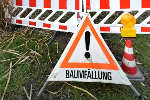 Bis Ende Februar gibt es in der Gemarkung Hambach Baumschnittarbeiten. 