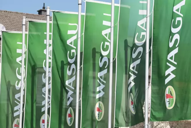 wasgau1