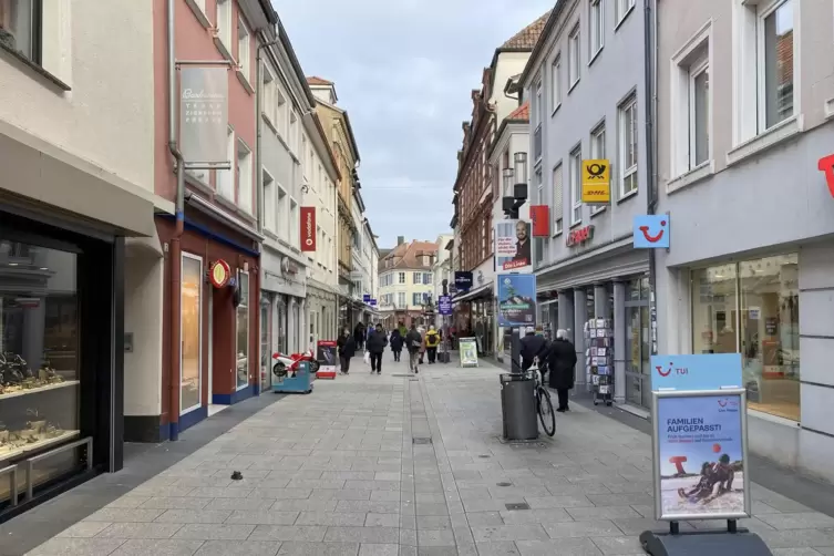 Im Stadrat herrschten unterschiedliche Meinungen zum Landauer Verkehr vor.