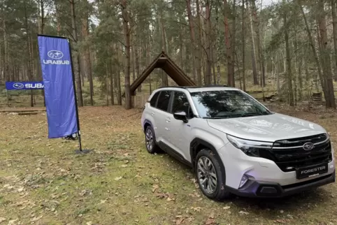 Mit ihm kann man sich getrost ins Gelände wagen: der Geländewagen Forester von Subaru.
