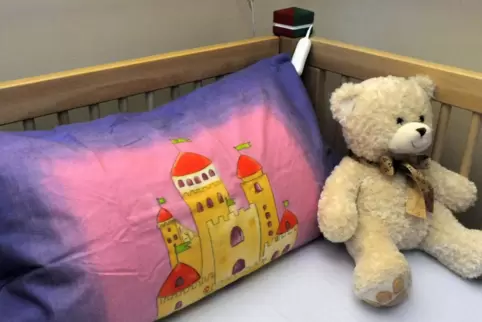 Die Neustadter Experten wollen schwerkranke Kinder und ihre Familien in ihrem häuslichen Umfeld und Alltag unterstützen. 
