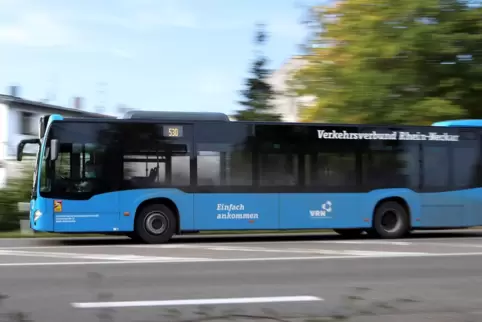 bus