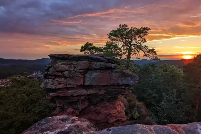 Sonnenaufgang über dem Pfälzerwald.