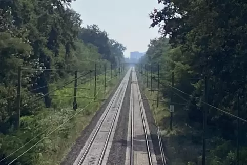 Auf der Bahnlinie zwischen Schifferstadt und Speyer wird von Ende Februar bis Ende März nicht viel los sein. 