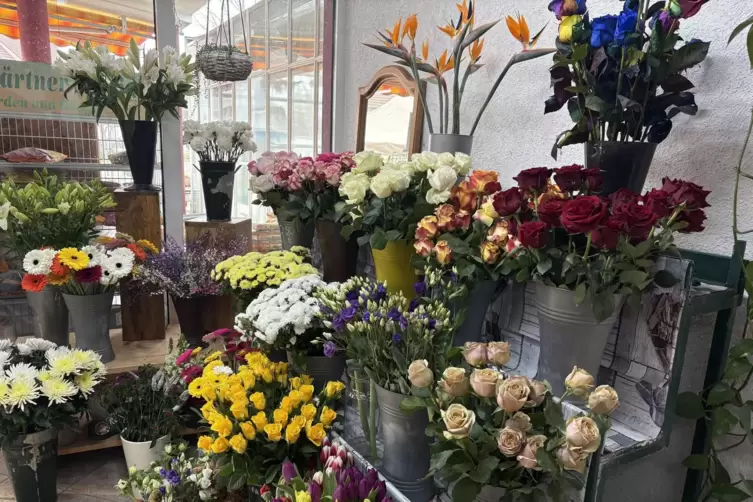 Gerbera, Chrysanthemen, Tulpen: Schnittblumen sind am Valentinstag immer sehr beliebt. Am meisten nachgefragt werden aber immer 