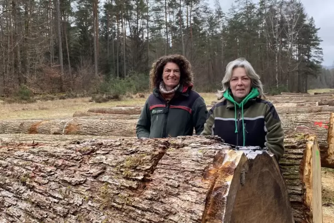 Ulrike Abel, Leiterin des Forstamts Wasgau (links) und Forstwirtin Sabine Steiner am Lagerplatz der Werteichen.