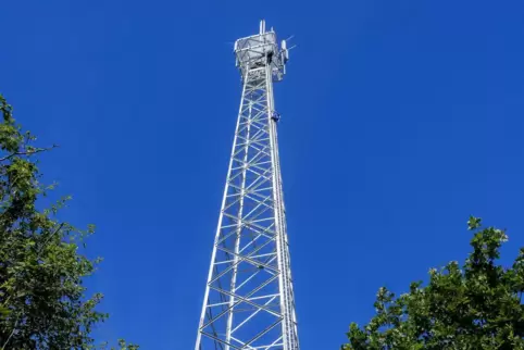 Ein Stahlgittermast soll westlich der Bahnstrecke Wörth-Kandel errichtet werden.