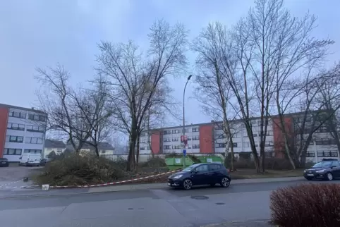 Wo jetzt noch Garagen und Bäume stehen, soll ein Haus mit 24 Wohnungen gebaut werden.