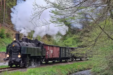 Das Kuckucksbähnel befördert jährlich bis zu 30.000 Personen von Neustadt ins Elmsteiner Tal.