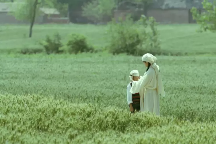 Beste Regie: &bdquo;heng xi zhi di&ldquo; (&bdquo;Living The Land&ldquo;) von Huo Meng. 