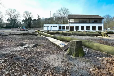 „Waldeslust“: Bäume im früheren Biergarten-Bereich gefällt. „Waldeslust“: Bäume im früheren Biergarten-Bereich gefällt.