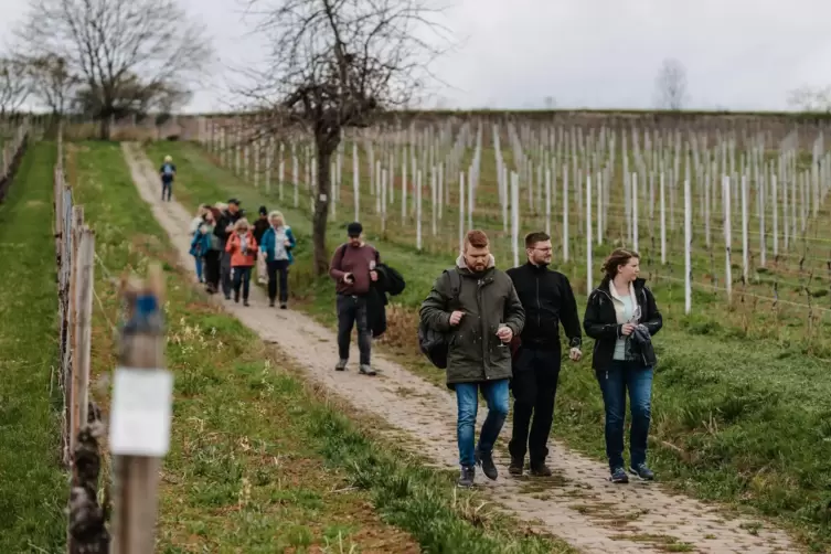 Von Station zu Station durch die Weinberge.