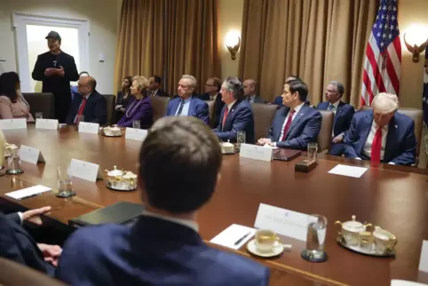 Tech-Milliardär Elon Musk spricht während einer Kabinettssitzung im Weißen Haus. Ganz rechts im Bild US-Präsident Donald Trump. 