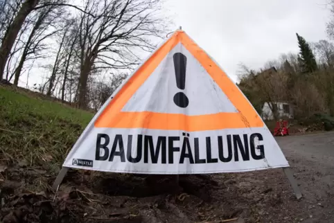 Im „Busch“ werden bald Bäume gefällt. Das Waldgebiet darf deshalb nicht betreten werden. 