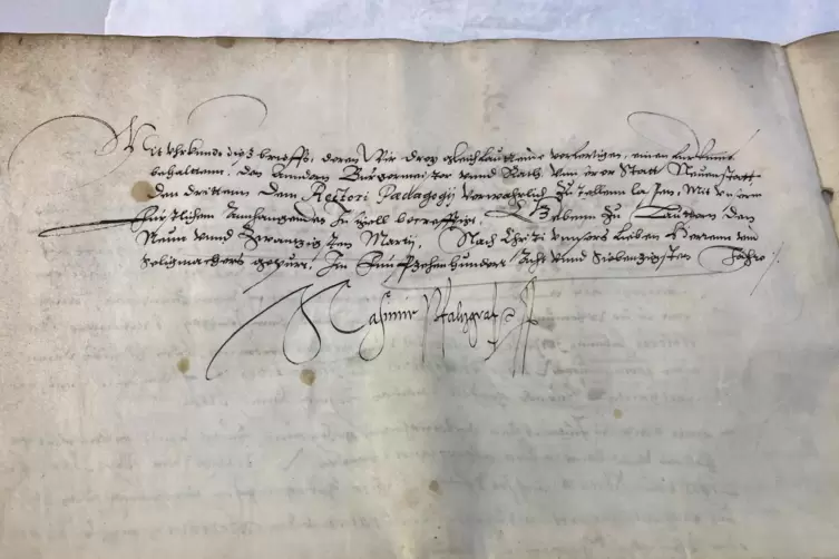 Die Stiftungsurkunde ist komplett erhalten &ndash; einschlie&szlig;lich der Unterschrift von Johann Casimir. 
