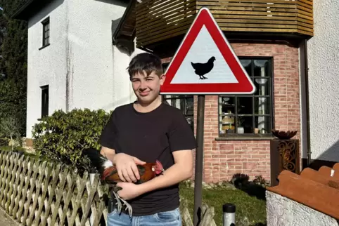 Achtung, Hühner: Eine besondere Rasse, die Leo Brinette züchtet, ist das Bankivahuhn, auch „Urhuhn“ genannt. 