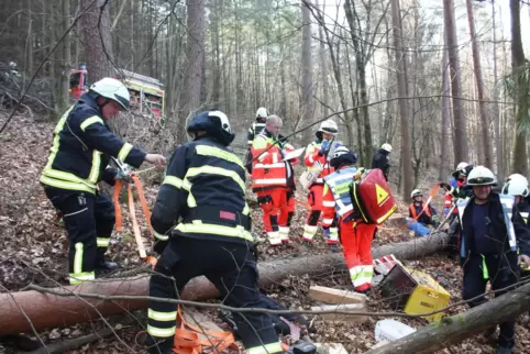 Feuerwehr und DRK-Retter bergen bei der Großübung zwei Personen, die unter einem Baumstamm liegen. 