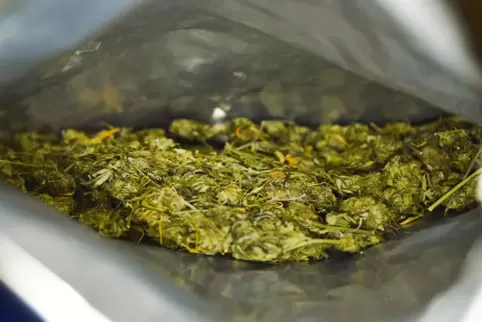 Illegale Drogen: sichergestelltes Marihuana.