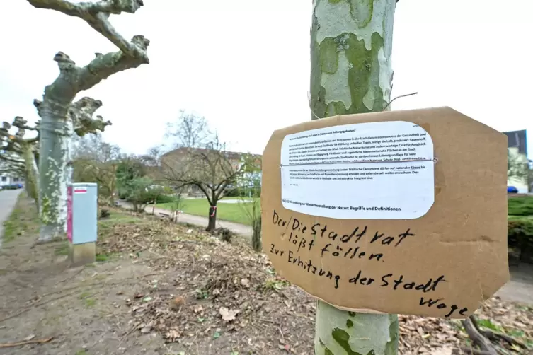 Endphase des R&uuml;ckschnitts: Feuerbachpark im Februar samt Germanns Protestbekundung.