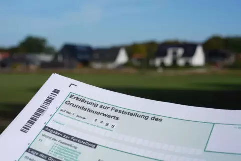 Grundsteuer: in Speyer künftig Unterschiede zwischen bebauten und noch nicht bebauten Grundstücken. Grundsteuer: in Speyer künftig Unterschiede zwischen bebauten und noch nicht bebauten Grundstücken.