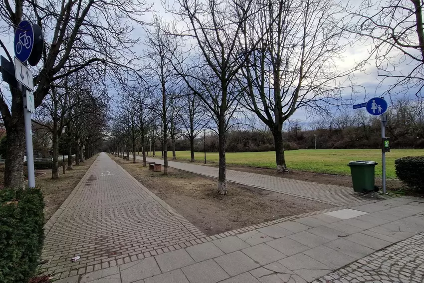 Der 6,8 Hektar große Friedenspark spielt eine zentrale Rolle in den Adept-Überlegungen.