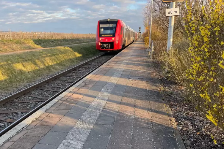 Zwischen Gr&uuml;nstadt und Bad D&uuml;rkheim gibt es im morgendlichen Sch&uuml;lerverkehr noch einen Zug. Hier bei der Einfahrt am Montag um 7