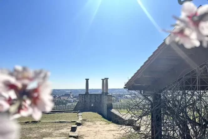 Das Weingut Weilberg bei Ungstein. Hier hin führt eine Runde von elf Kilometern.