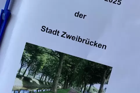 Am Mittwoch berät der Stadtrat, was nun auf die Zweibrücker zukommt. Am Mittwoch berät der Stadtrat, was nun auf die Zweibrücker zukommt.