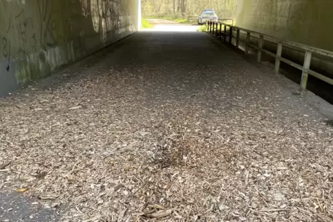 Wer hat die Ladung Holzhackschnitzel in der Unterführung der A65 verloren? 