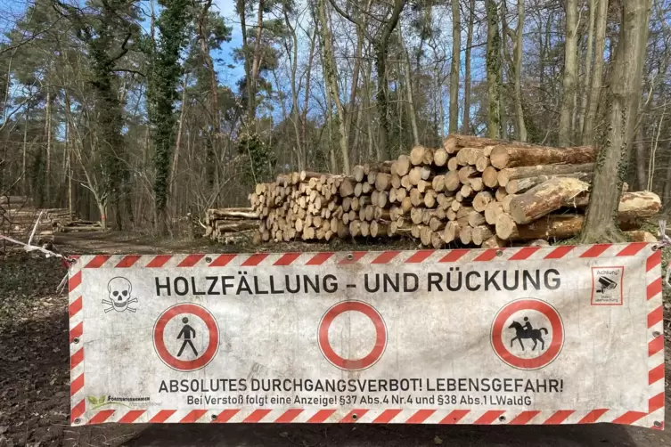 Noch bis in den April bleibt das Waldgebiet gesperrt.