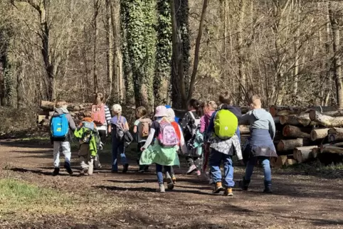 Eine Strecke von sieben Kilometern galt es für die jungen Wanderer zu bewältigen.